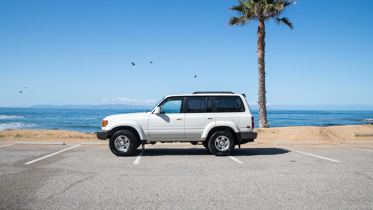 A white boxy four-wheel drive parked alone in an empty seafront car park, a palm tree and the ocean behind it under a clear sky