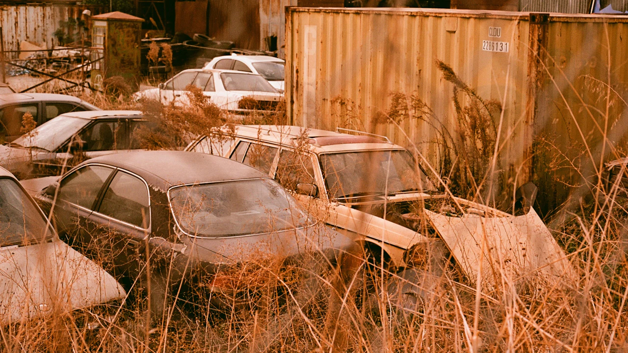 A salvage yard photographed through tall dry grass, with several stripped and faded cars parked in rows beside a rusted shipping container