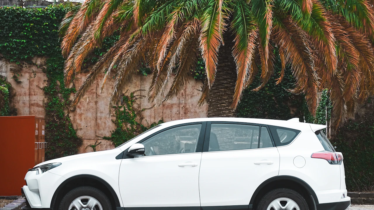 white suv parked near palm tree during daytime