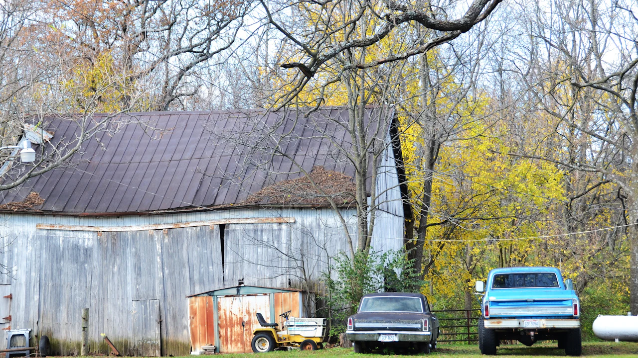 Two older cars parked in front of a weathered grey barn under bare autumn trees: a cream 1970s sedan and a two-tone blue pickup, a small yellow utility vehicle between them.