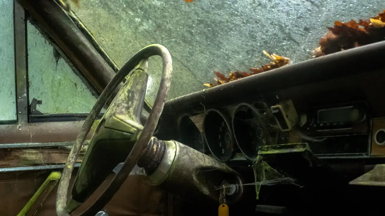 The rusted steering wheel and dashboard of an abandoned old car, leaves on the dash.