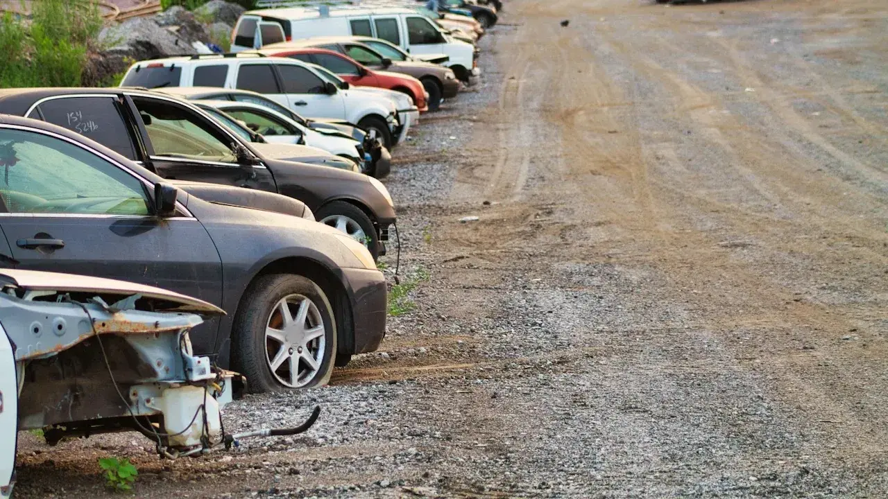 A row of damaged and stripped cars parked on gravel in a salvage yard, the nearest with its front end torn off.