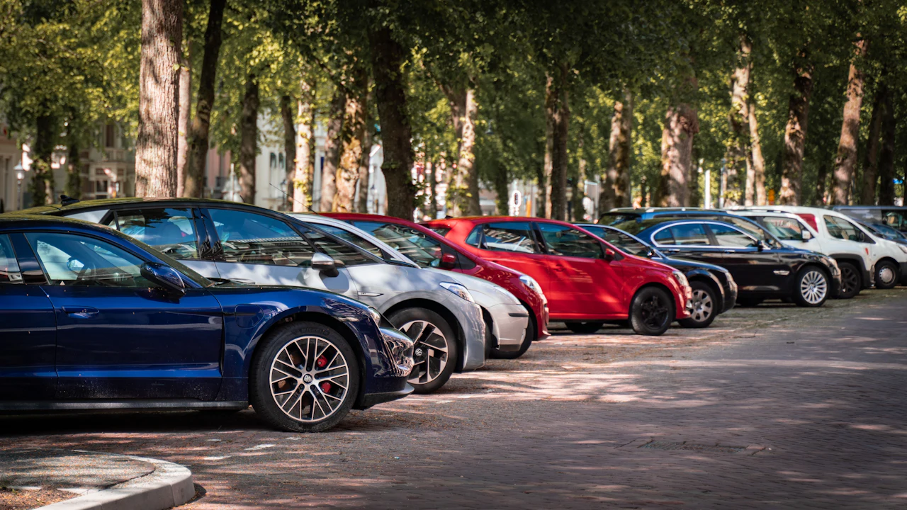 Row of cars parked along a tree-lined street