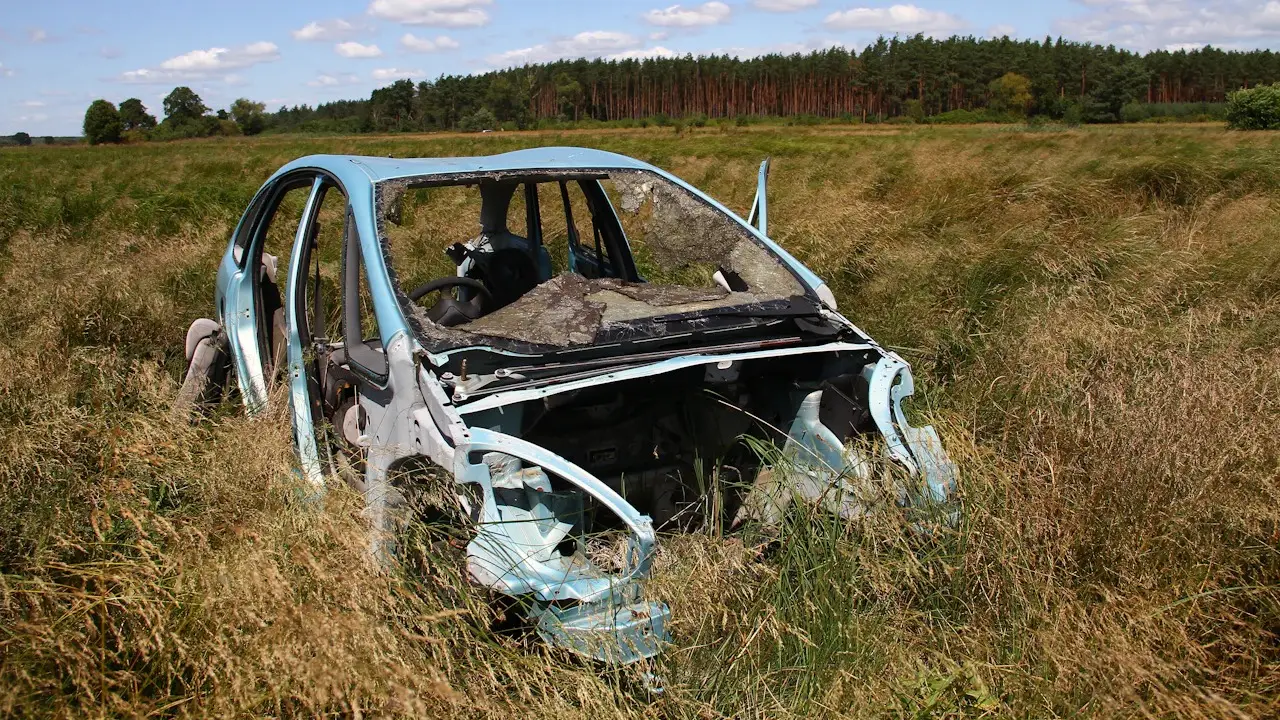 A stripped car shell with no wheels sitting in long grass.