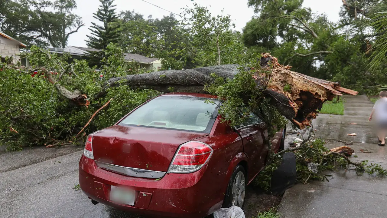 A sedan with a fallen tree across its roof and side after a storm.