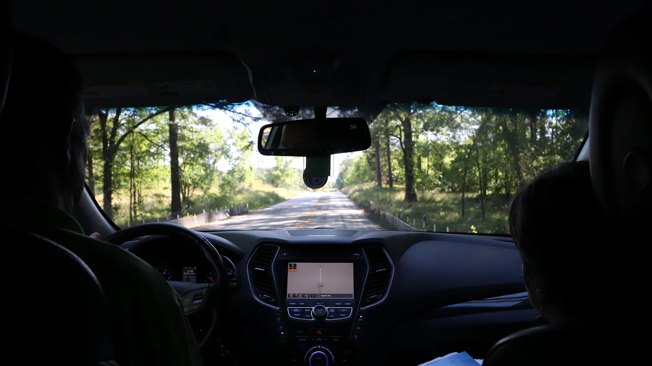 The view forward from the back seat of a car being driven down a tree-lined road, two people in the front seats and the dashboard lit in the shade