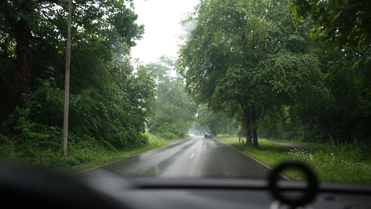 The view forward over a car&rsquo;s dark dashboard and through the windshield onto a wet tree-lined road, the wiper resting on the glass.