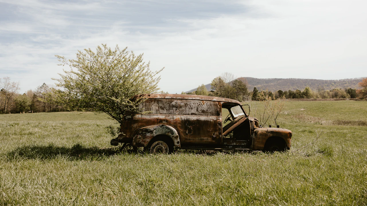 A rusted-out panel van abandoned in a grass field with a small tree growing up through its open side, wooded hills in the distance